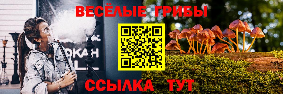 купить   Вход с VPN  Кизляр  Псилоцибиновые грибы ЛСД 