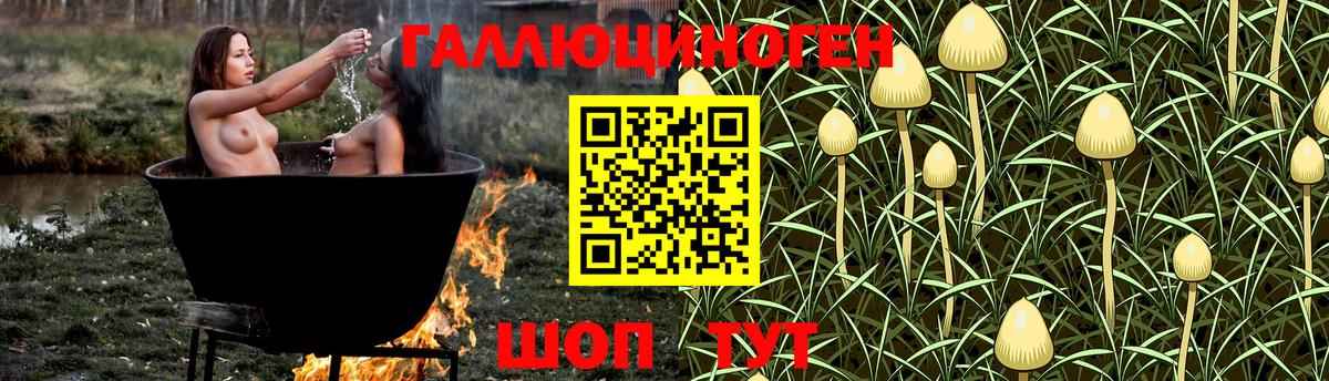 Галлюциногенные грибы прущие грибы Кизляр